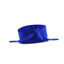 Paire de Lacets larges en Satin