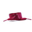Paire de Lacets larges en Satin
