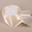 Ruban en Satin brillant beige pour décoration ou emballage